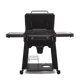 Gril Flatrock 2 zones de Traeger