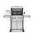 Baron S490 pro Infrarouge de Broil King