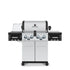 Regal S490 Pro Infrarouge de Broil King